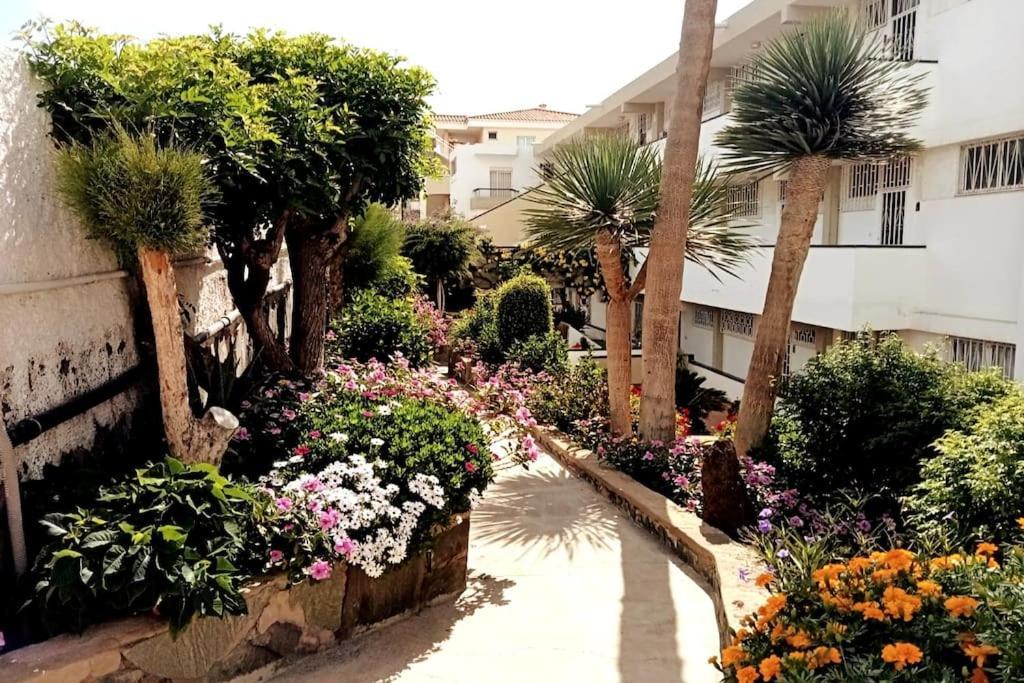 Apartment With Large Terrace, 10 Meters From Playa De Las Burras San Bartolomé Exteriér fotografie